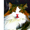 current photo
